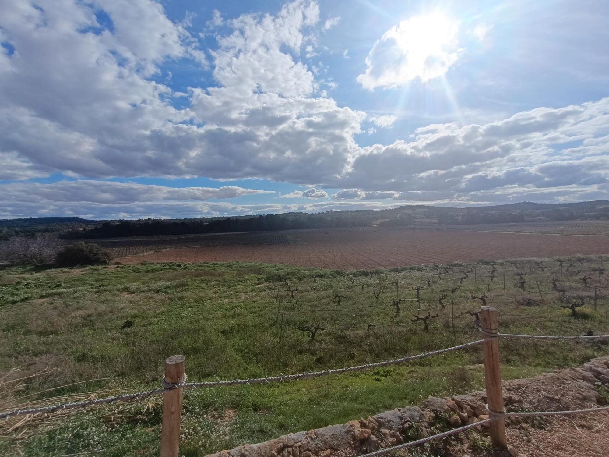 Casa Rural Alegria Caudete de las Fuentes Exteriör bild